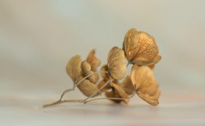德州牛仔如何读牌？三个技巧帮你更稳地判断对手手牌
